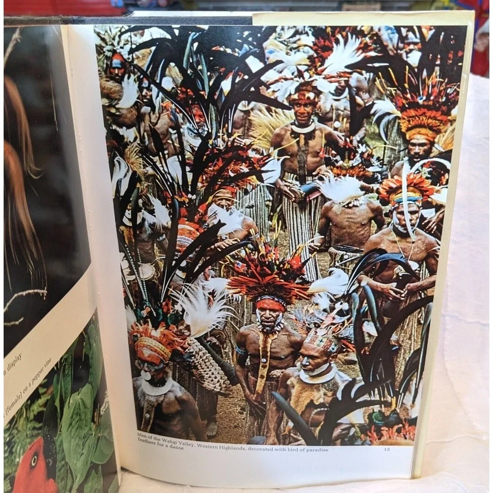Human Aviary Hardcover 1971 Pictorial Discovery of New Guinea Holton George Vtg